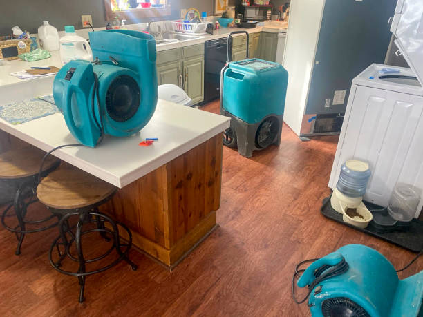 Best 24/7 water damage repair  in Marysville, WA