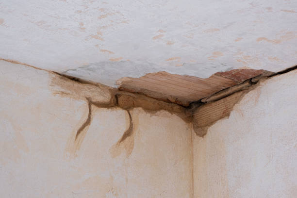 Best Flood damage cleanup  in Marysville, WA