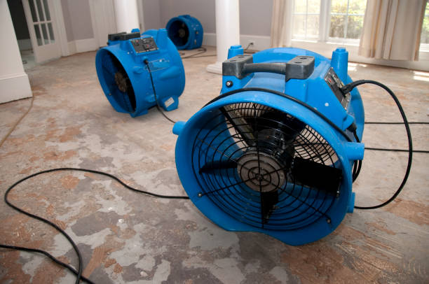 Best Carpet water damage restoration  in Marysville, WA