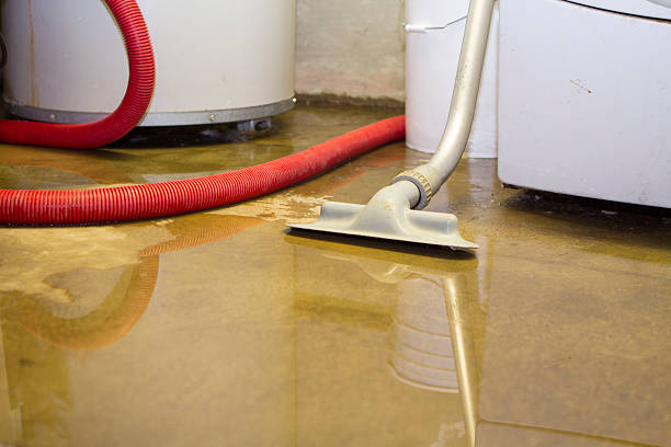 Best Emergency water damage restoration  in Marysville, WA