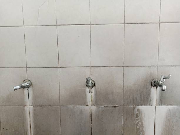 Best Basement water damage restoration  in Marysville, WA