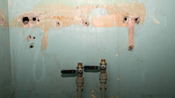 Best Water damage cleanup near me  in Marysville, WA