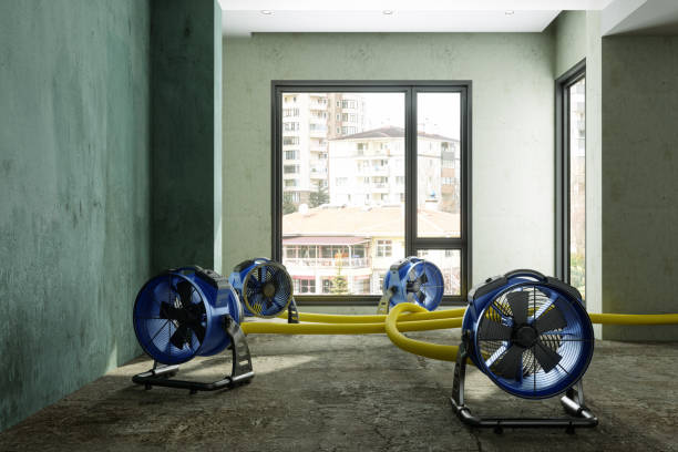 Best Water damage restoration near me  in Marysville, WA