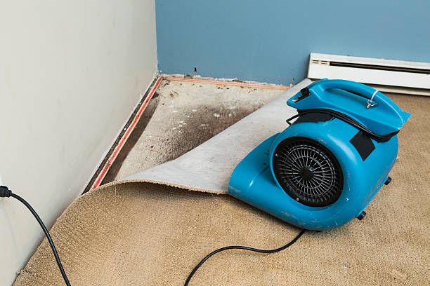 Best Residential water damage restoration  in Marysville, WA