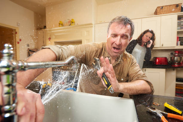 Best Mold removal after water damage  in Marysville, WA